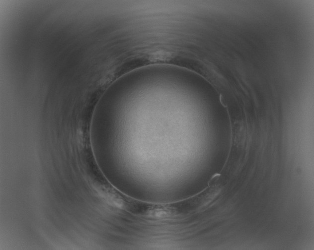 X0000053080655200507111246