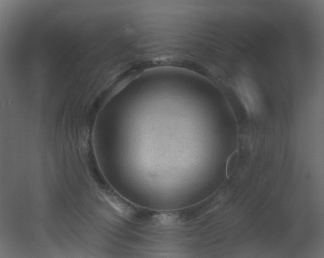 X0000053080660200507111246