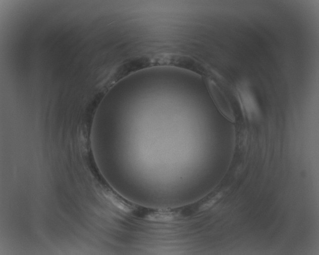 X0000053080661200507111246