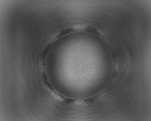 X0000053080666200507111246