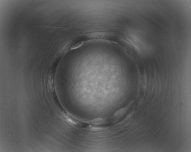 X0000053080669200507111246