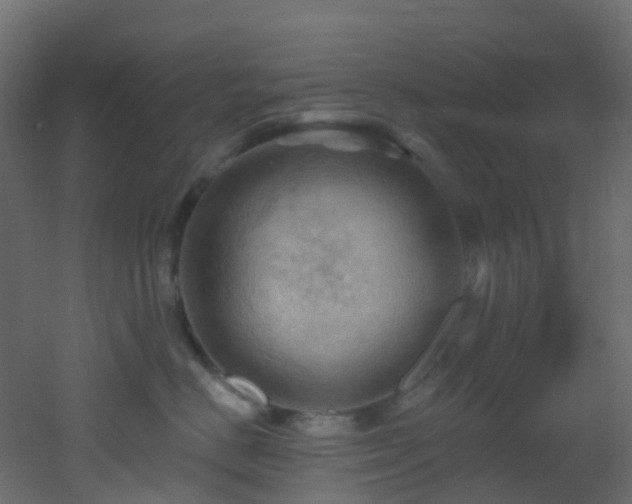 X0000053080670200507111246