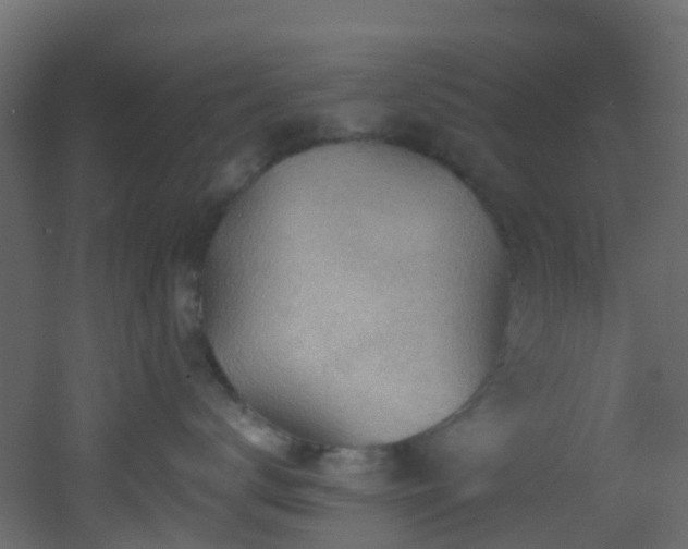 X0000053080672200507111246