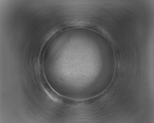 X0000053080674200507111245