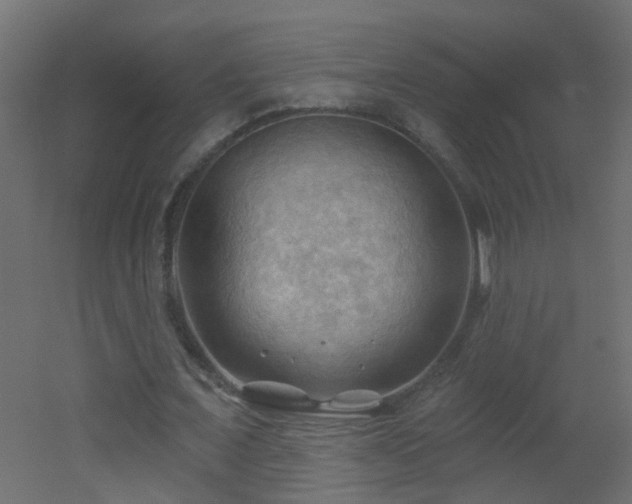 X0000053080675200507111245