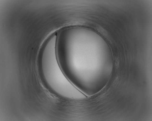 X0000053080676200507111245