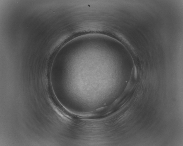 X0000053080677200507111245
