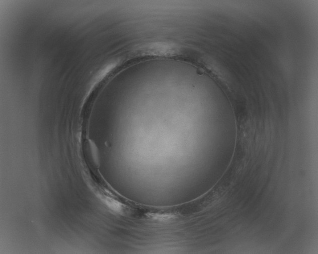 X0000053080679200507111245