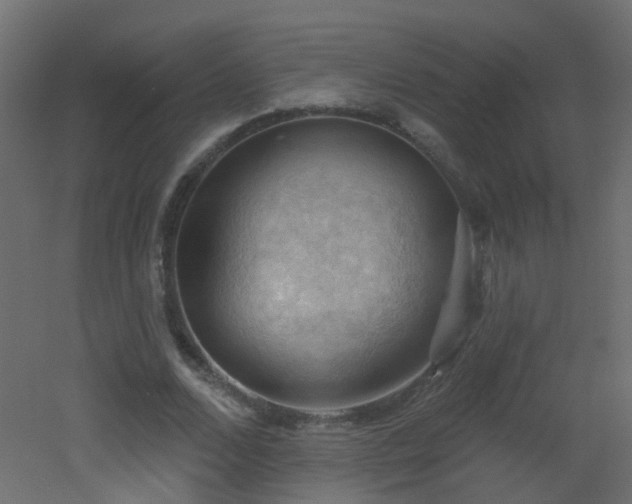 X0000053080680200507111245