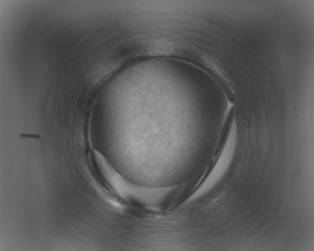 X0000053080681200507111245