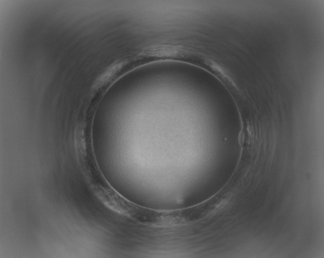 X0000053080682200507111245