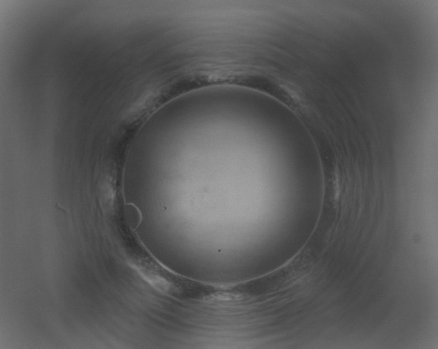 X0000053080691200507111245