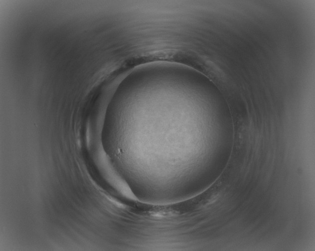 X0000053080693200507111245