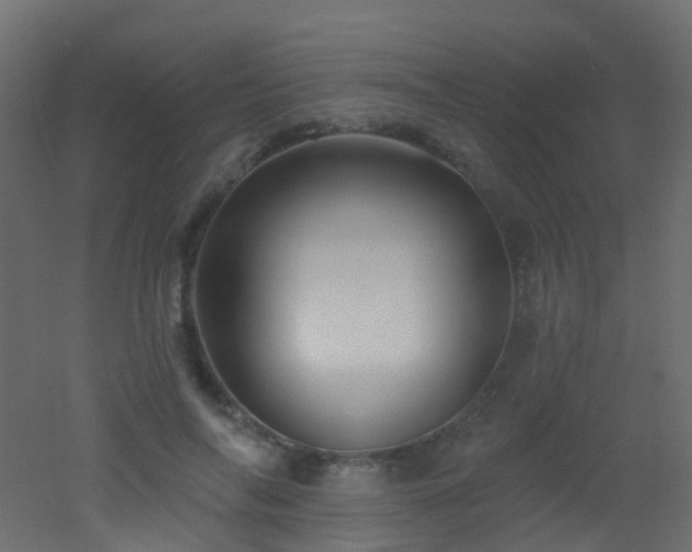 X0000053080694200507111245