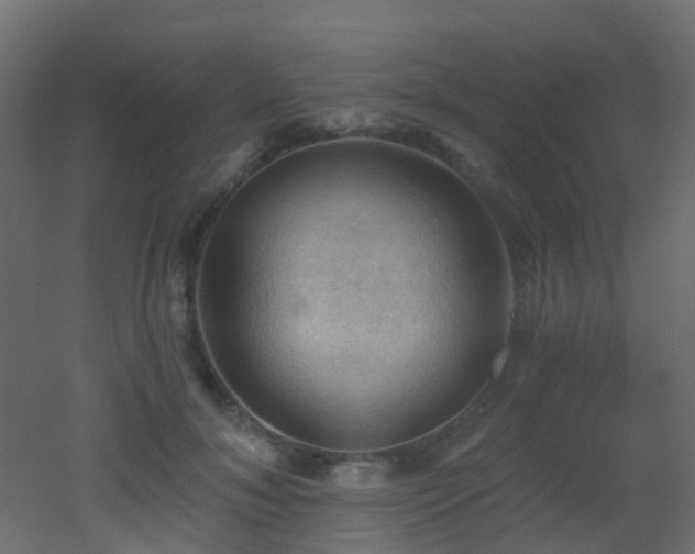 X0000053080700200507111245
