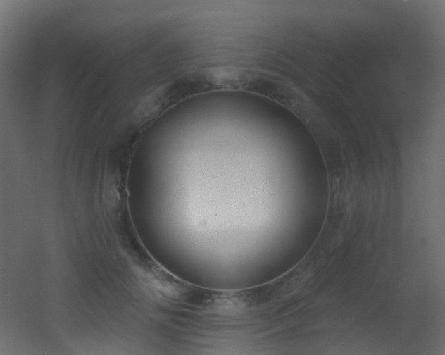 X0000053080702200507111244