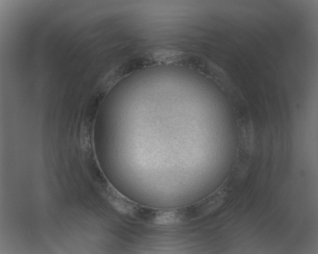 X0000053080705200507111244
