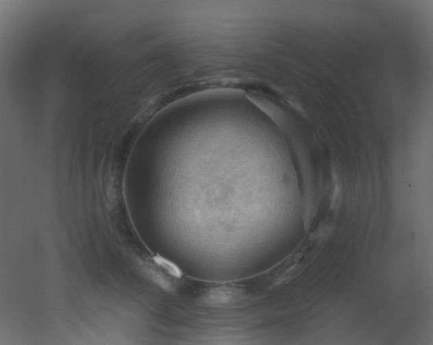 X0000053080708200507111244
