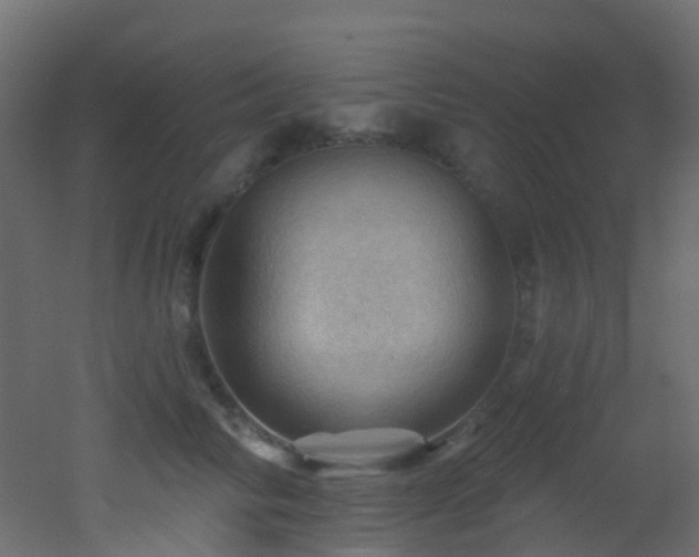 X0000053080710200507111244