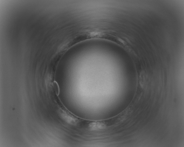 X0000053080714200507111244