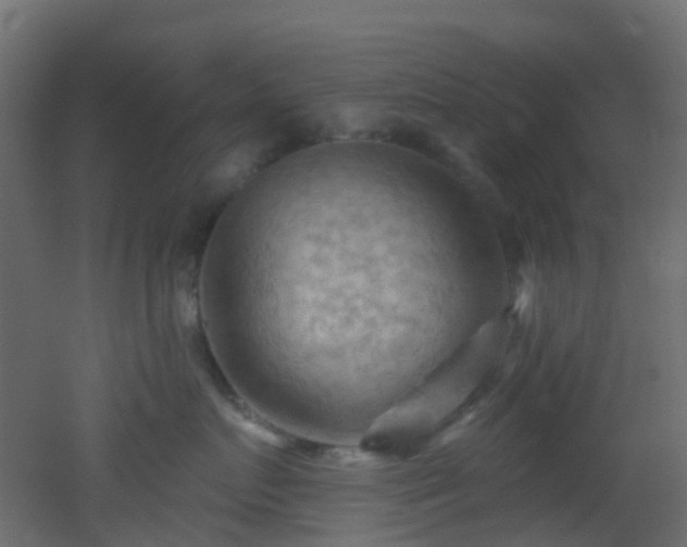X0000053080719200507111244