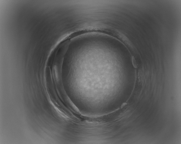 X0000053080722200507111243