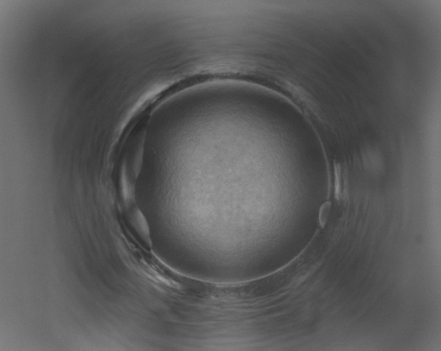 X0000053080723200507111243