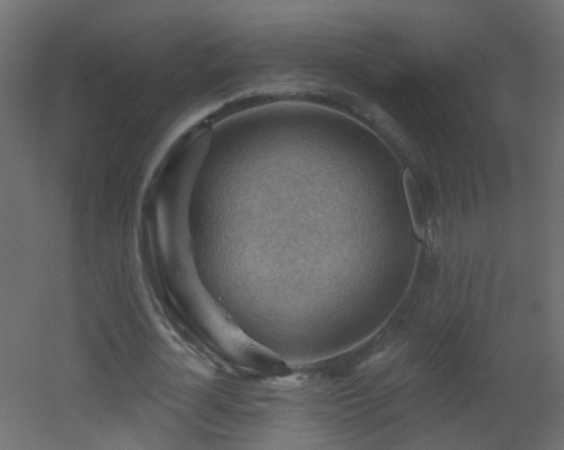 X0000053080724200507111243