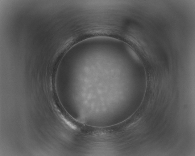 X0000053080729200507111244