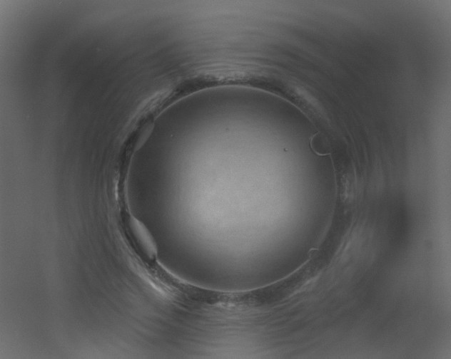 X0000053080733200507111244