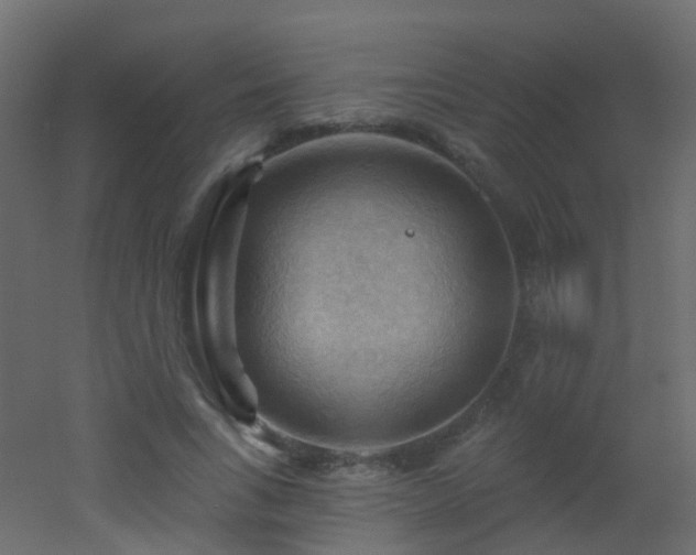 X0000053080735200507111244