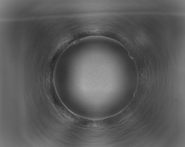 X0000053080739200507111244