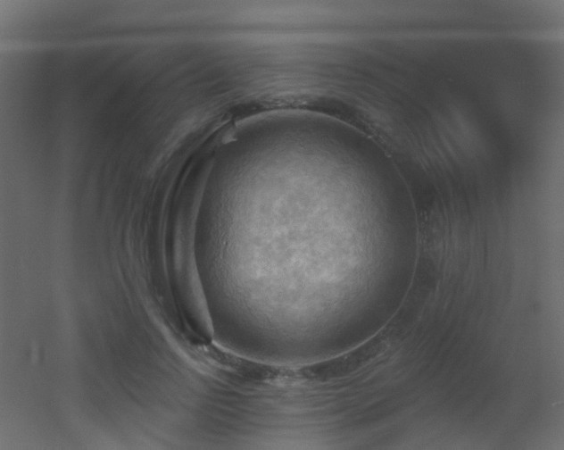 X0000053080742200507111244
