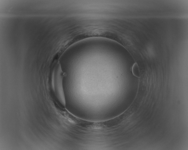 X0000053080743200507111244