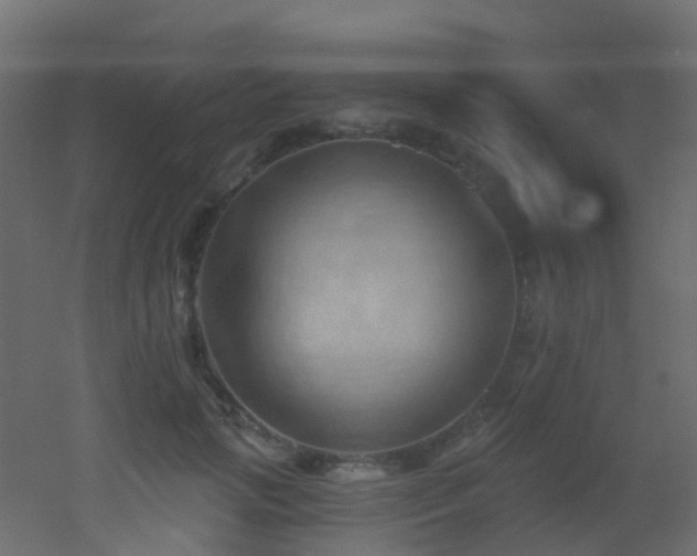 X0000053080749200507111244