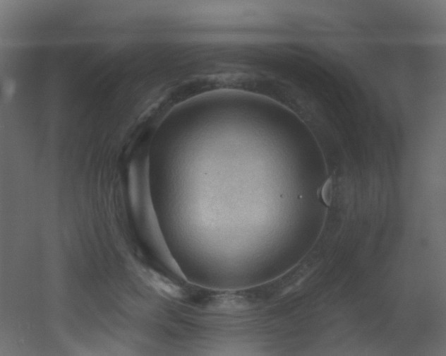 X0000053080750200507111244