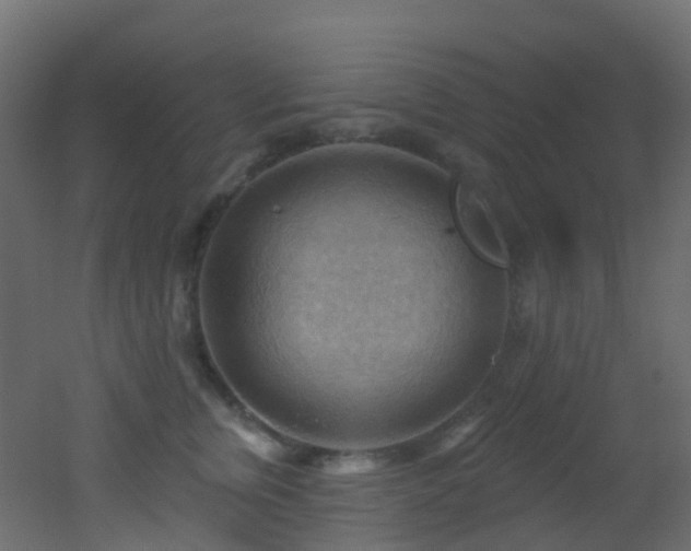 X0000053080759200507111244