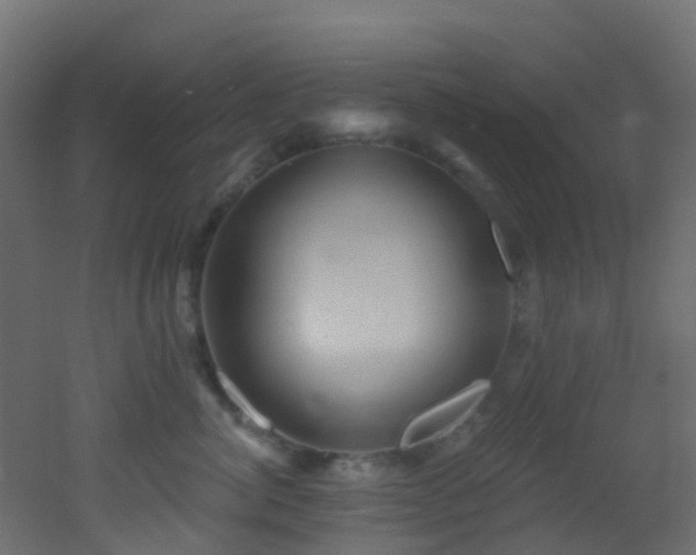 X0000053080764200507111244
