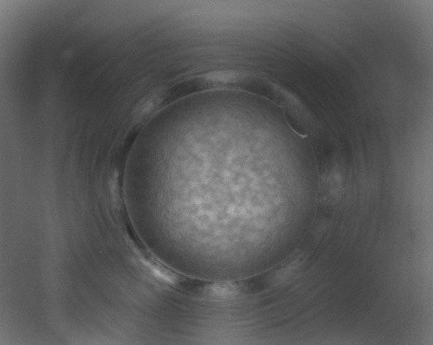 X0000053080765200507111244