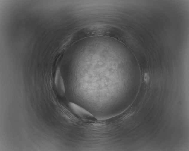 X0000053080771200507111243