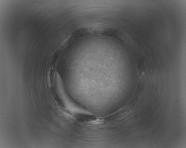 X0000053080772200507111243