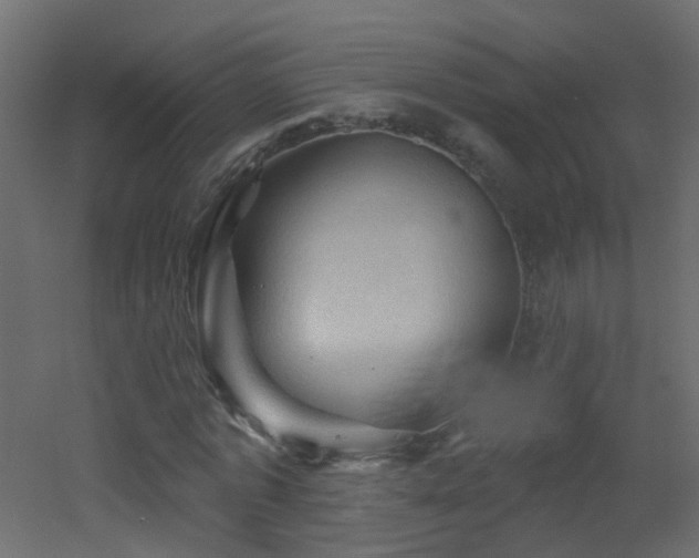 X0000053080773200507111243