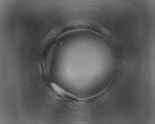 X0000053080774200507111243