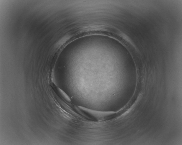 X0000053080777200507111243
