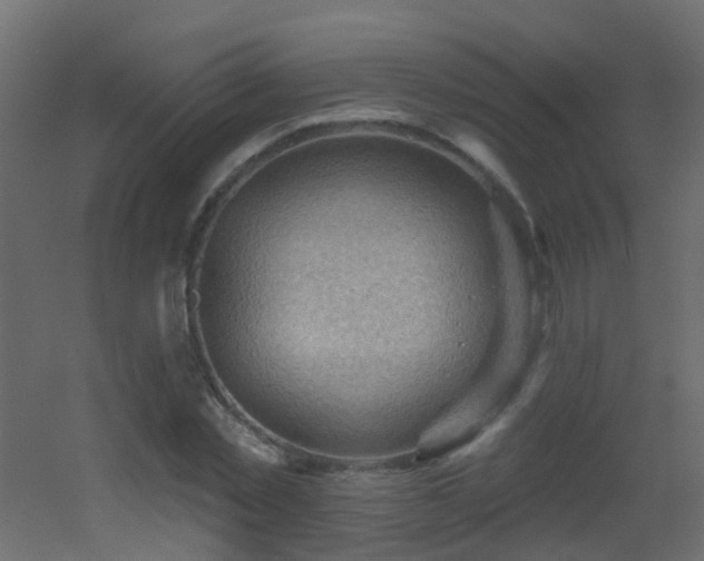 X0000053080781200507111243