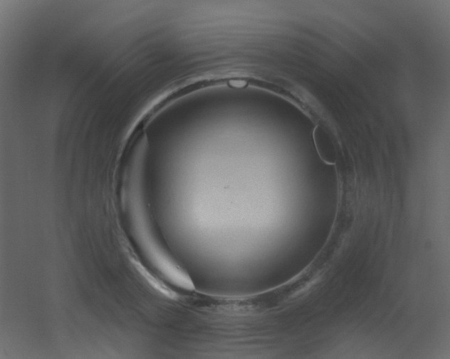 X0000053080789200507111243