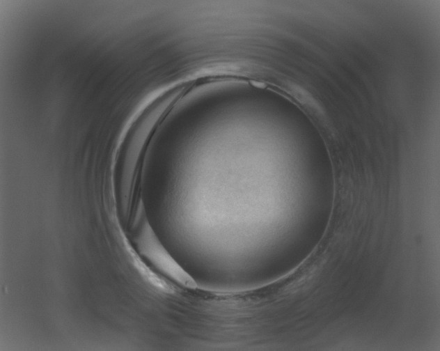 X0000053080792200507111243