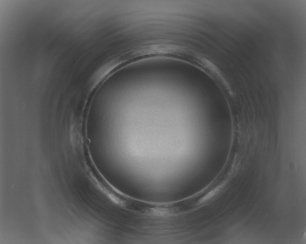 X0000053080794200507111243