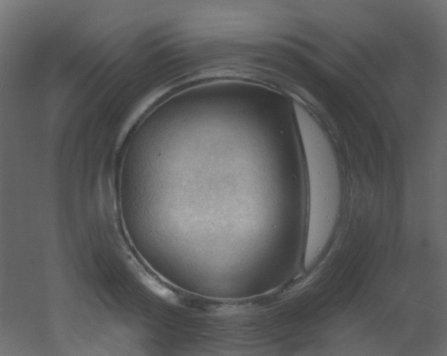 X0000053080796200507111243