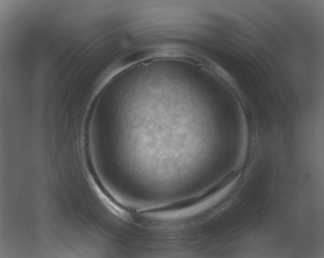 X0000053080803200507111243